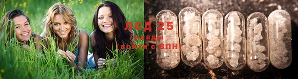 мяу мяу мука Приозерск