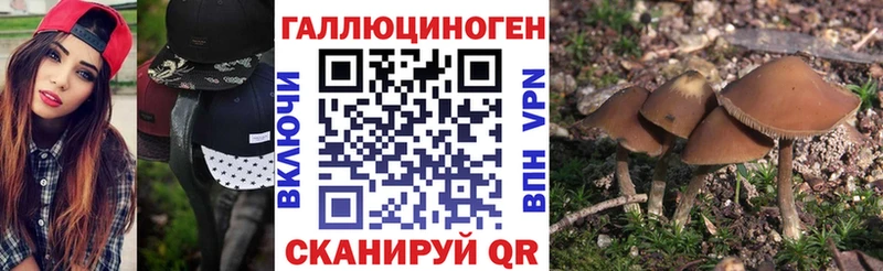 Галлюциногенные грибы GOLDEN TEACHER купить закладку Ковдор